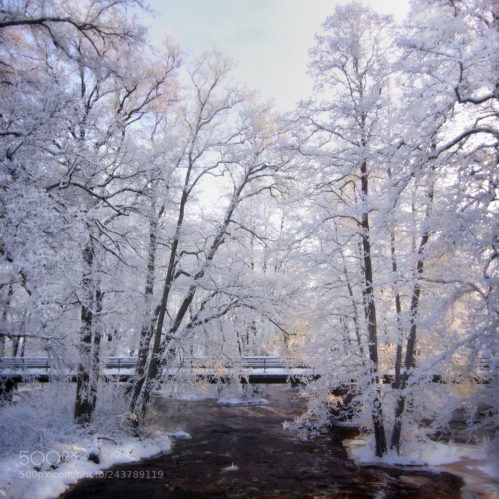 Canon EOS 50D sample photo. Bridge photography