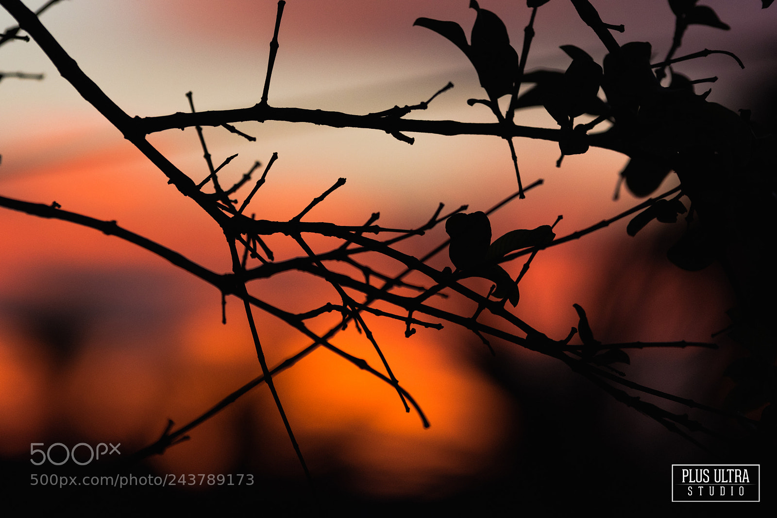Nikon D5500 sample photo. Sunset photography