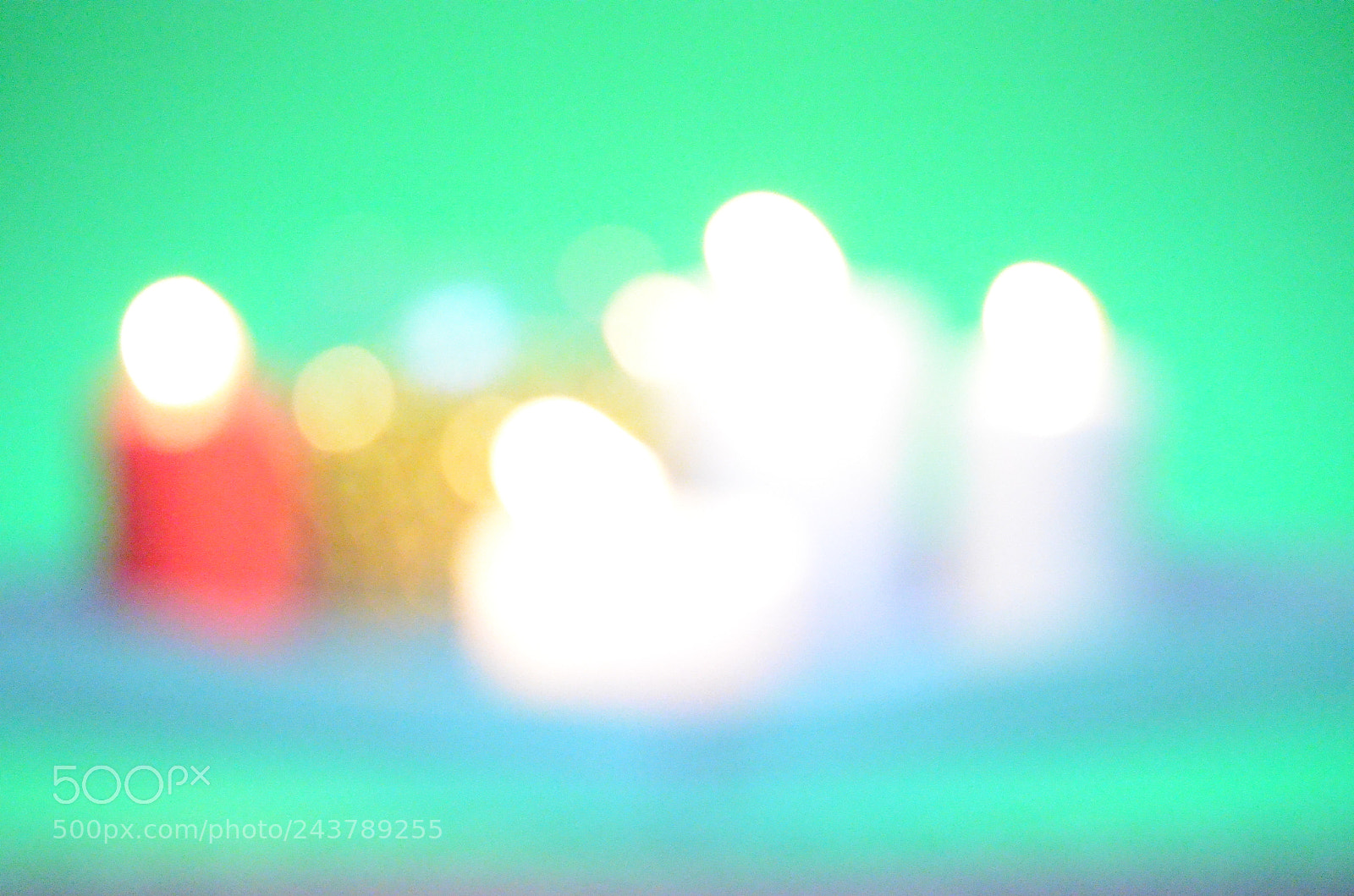 Nikon D5100 sample photo. Wonderful colors photography