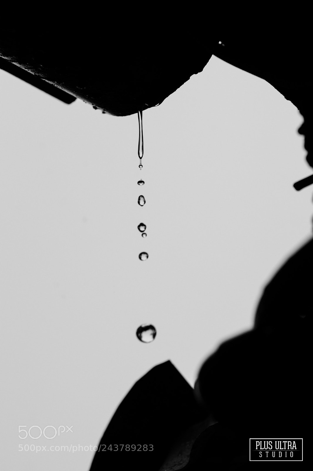 Nikon D5500 sample photo. Droplets photography