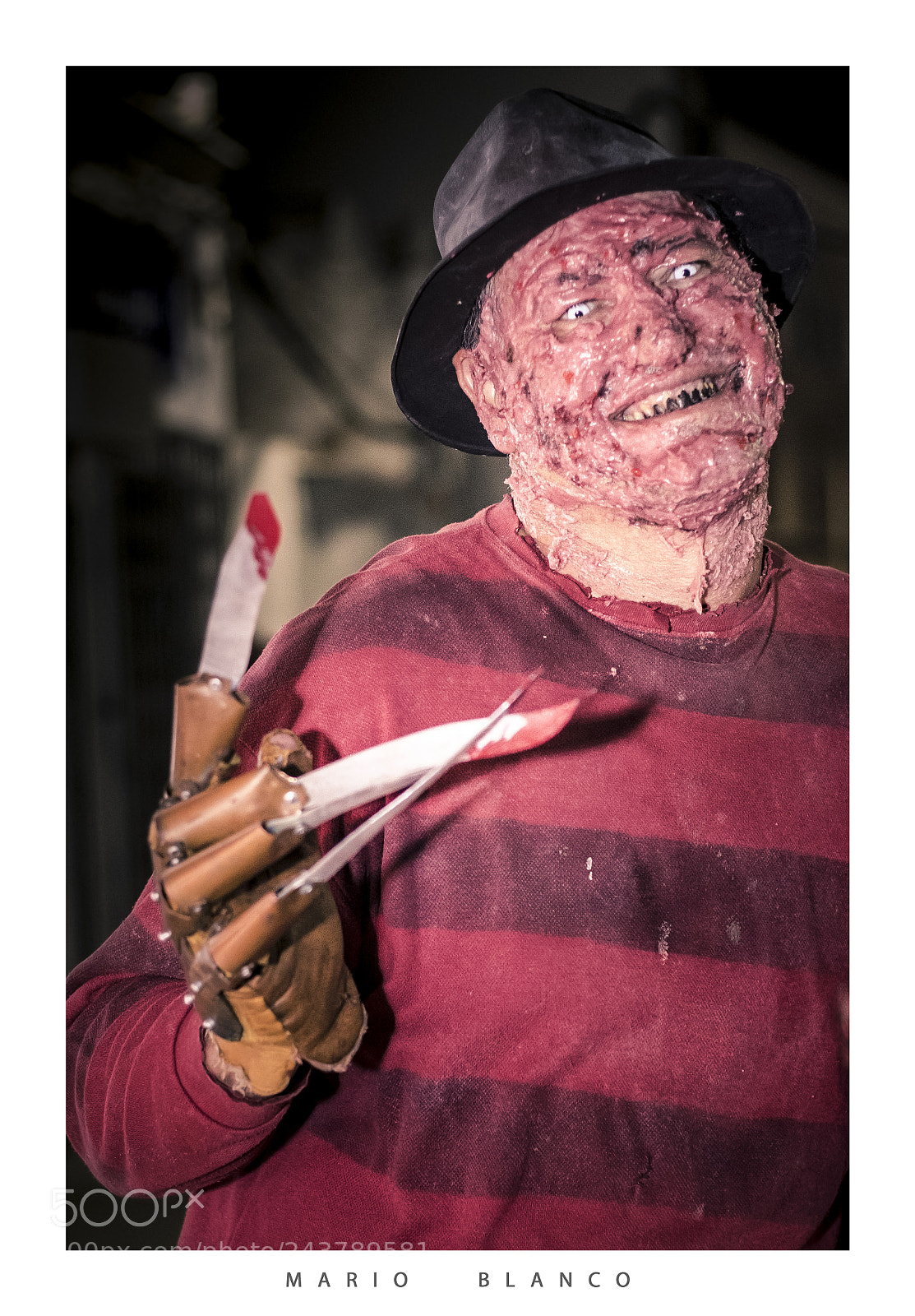 Canon EOS 7D Mark II sample photo. Freddy it´s back photography