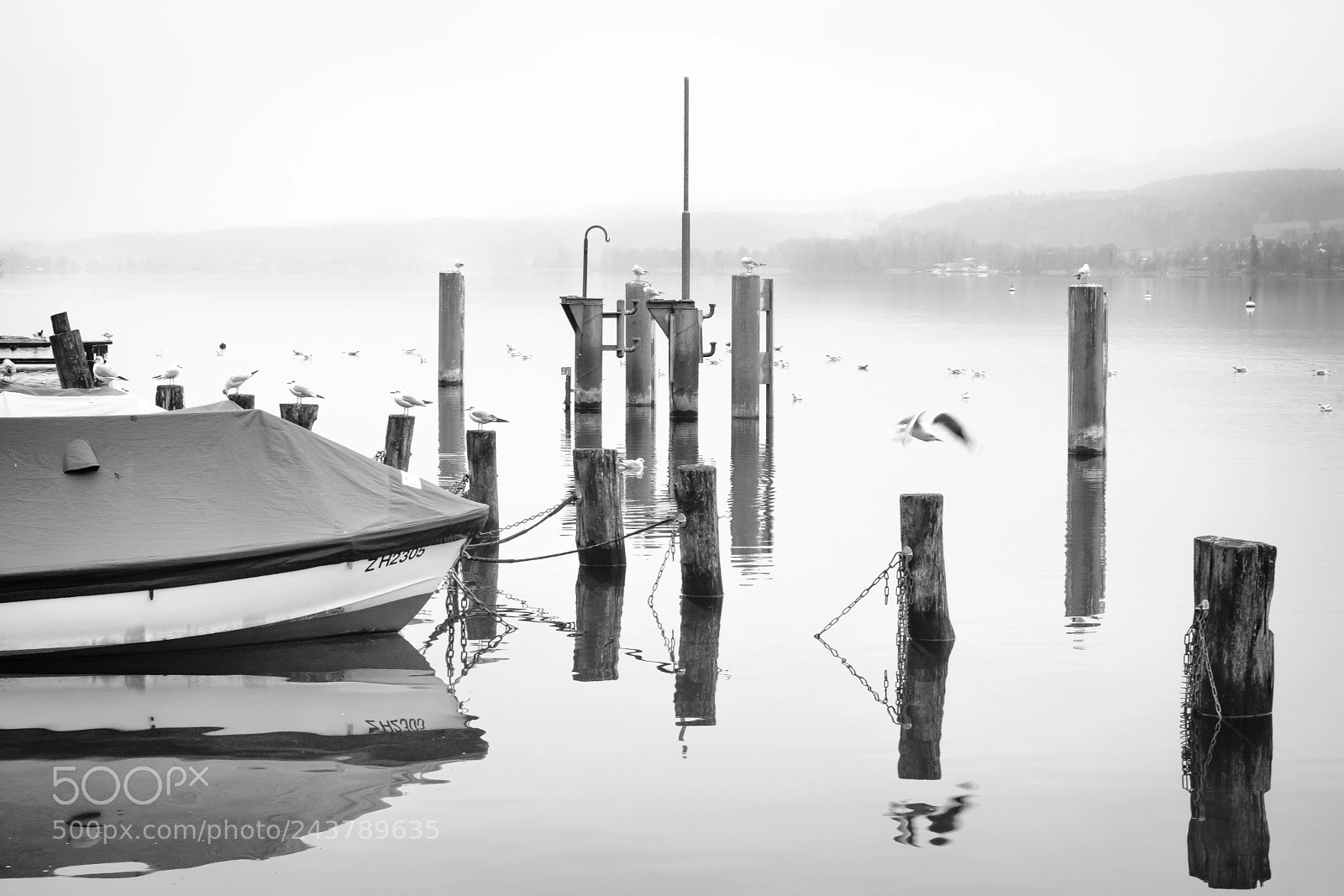 Fujifilm X-T2 sample photo. View of a swiss photography