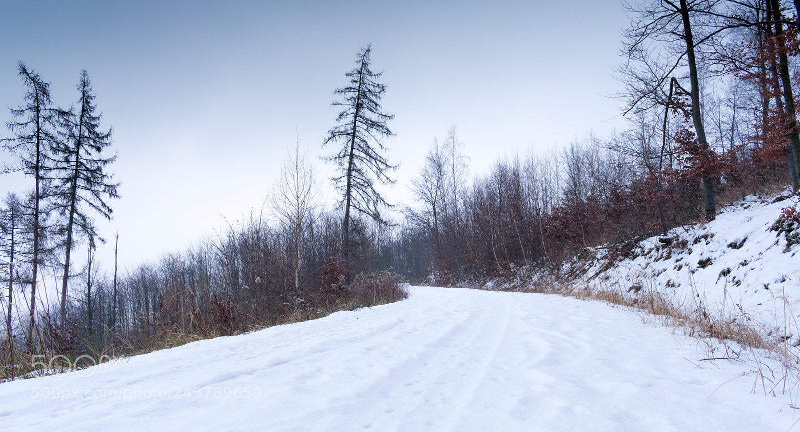 Nikon D3400 sample photo. Winter road in the photography