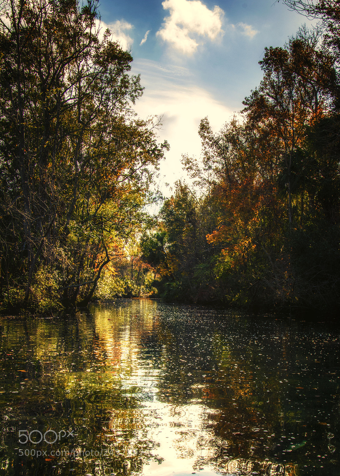 Nikon D7100 sample photo. Kayaking on crystal river photography