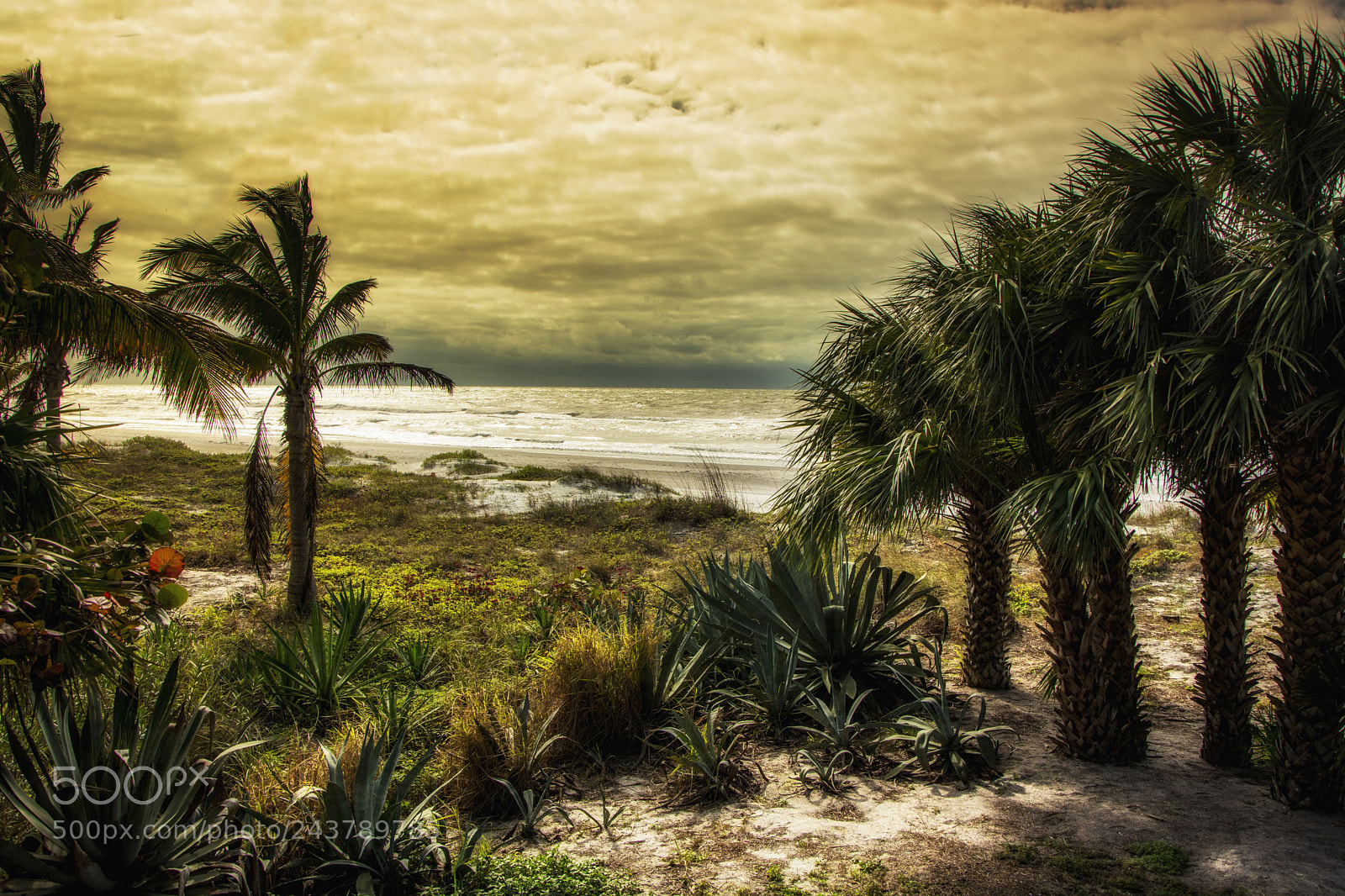 Nikon D7100 sample photo. Beach walk photography