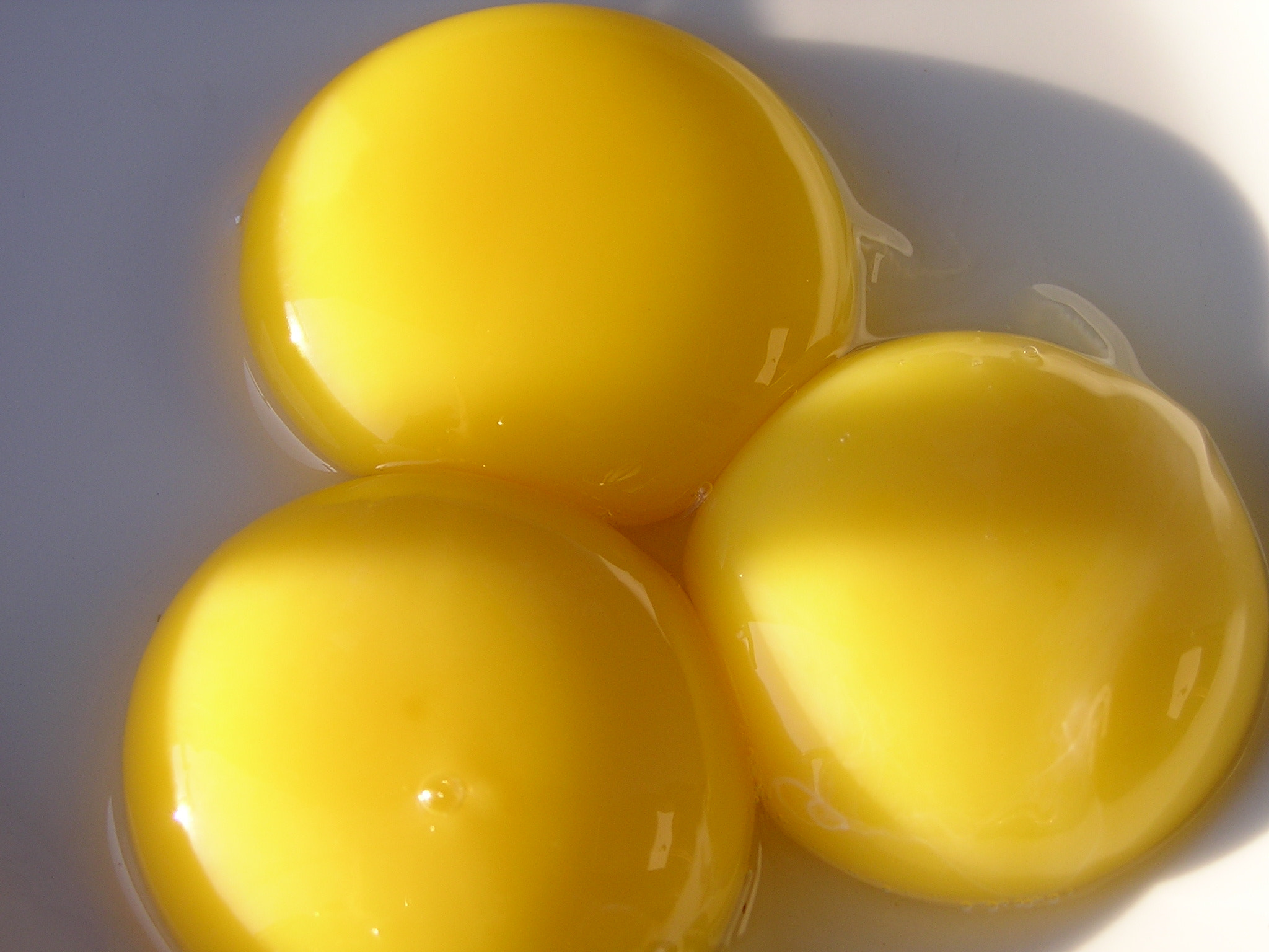 Olympus C740UZ sample photo. Eggs photography