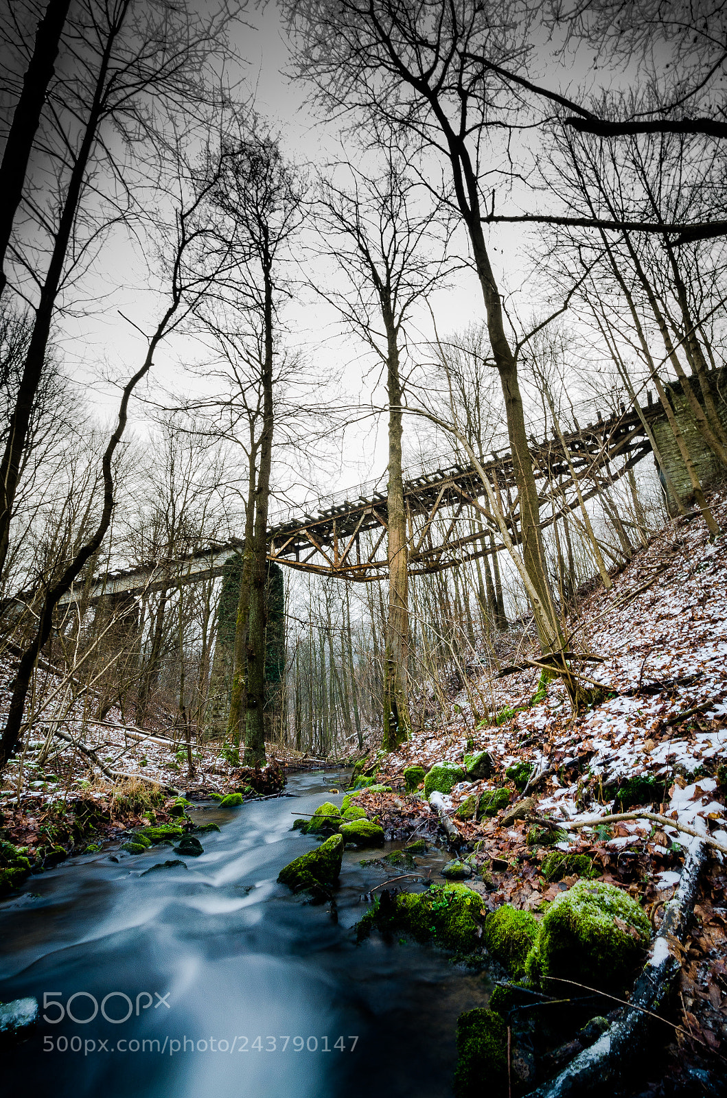 Nikon D5100 sample photo. River and old forgotten photography
