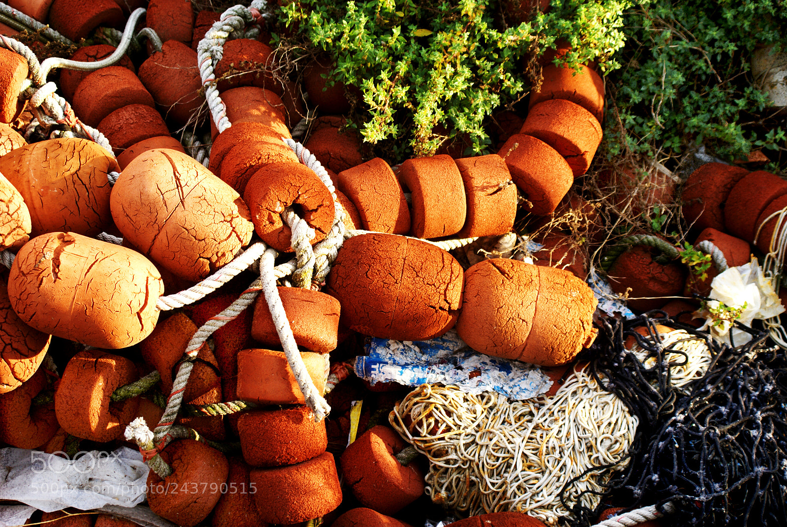 Sony Alpha DSLR-A100 sample photo. Habour photography