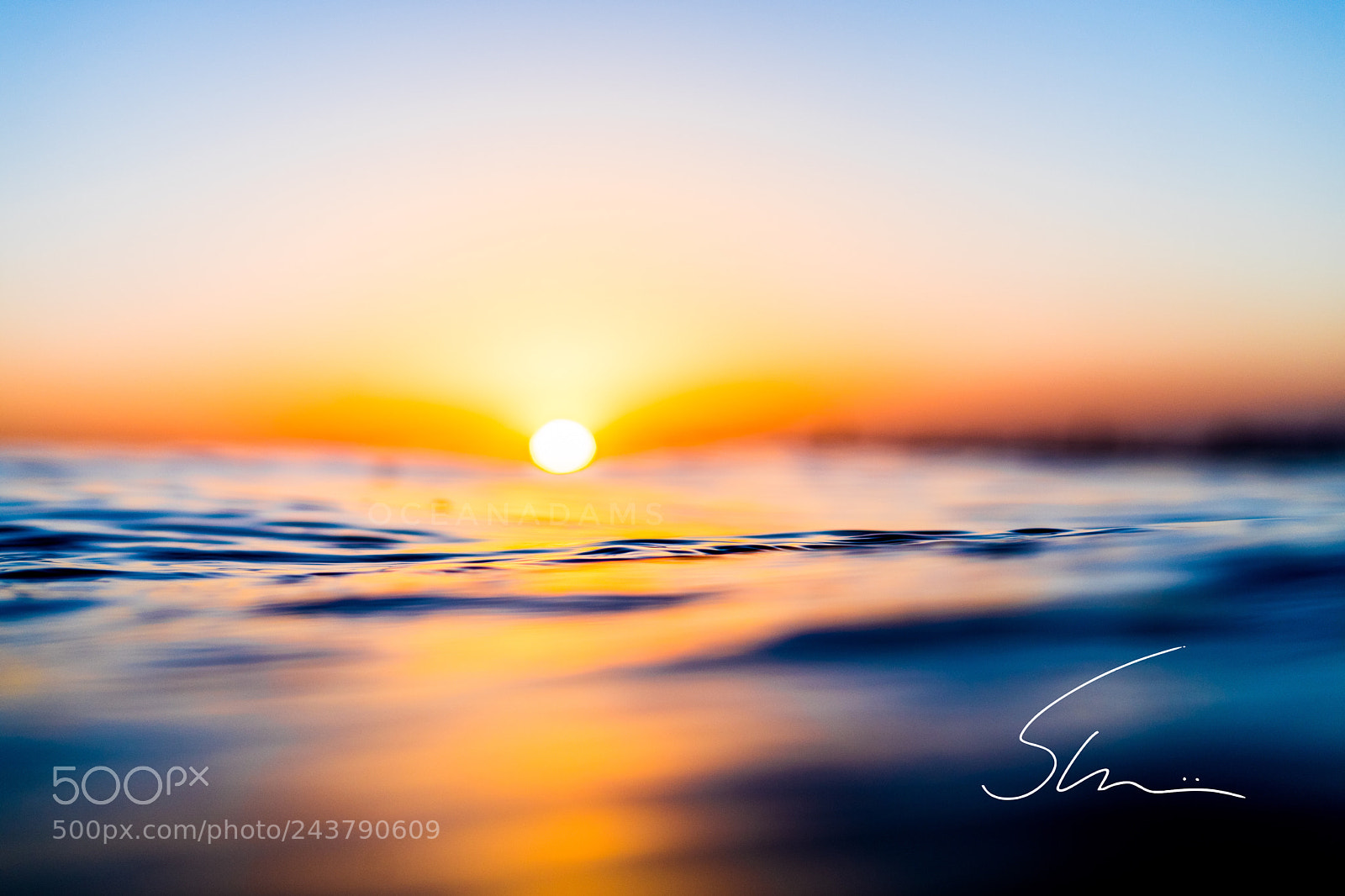 Sony a7 II sample photo. Untitled photography