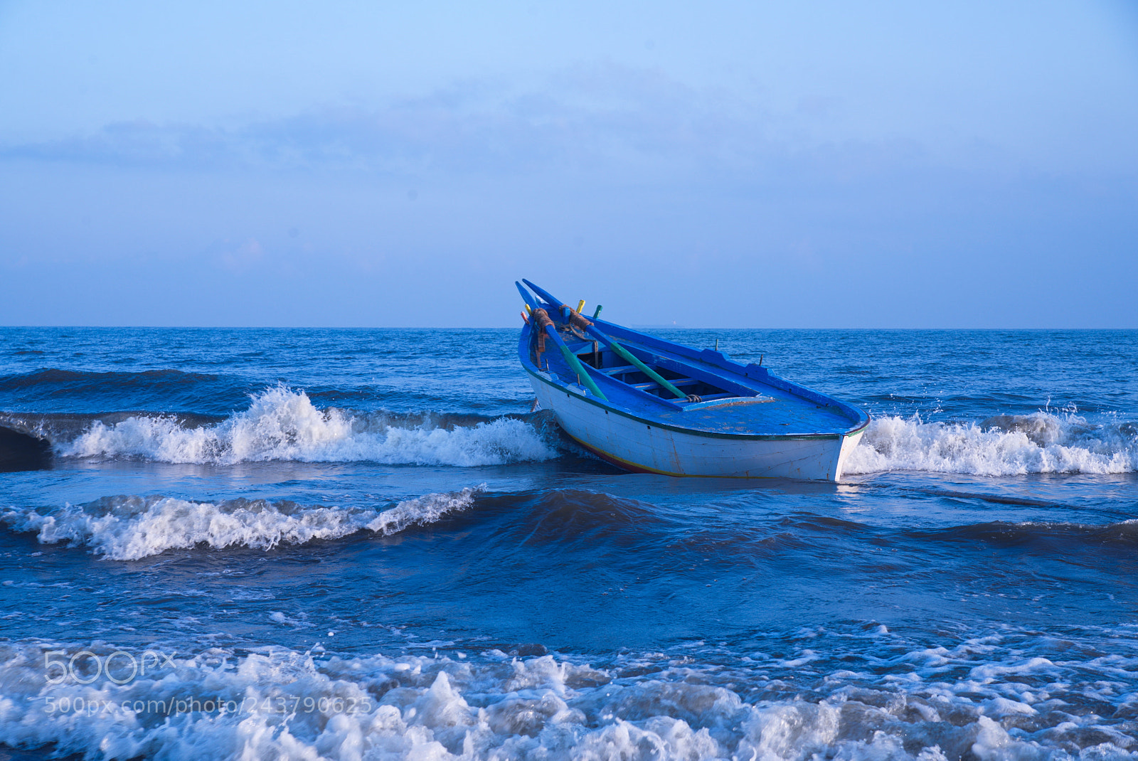 Nikon D610 sample photo. Untitled photography