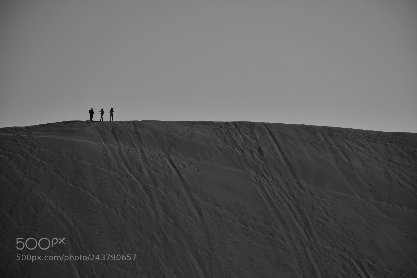 Nikon D7100 sample photo. Free space photography