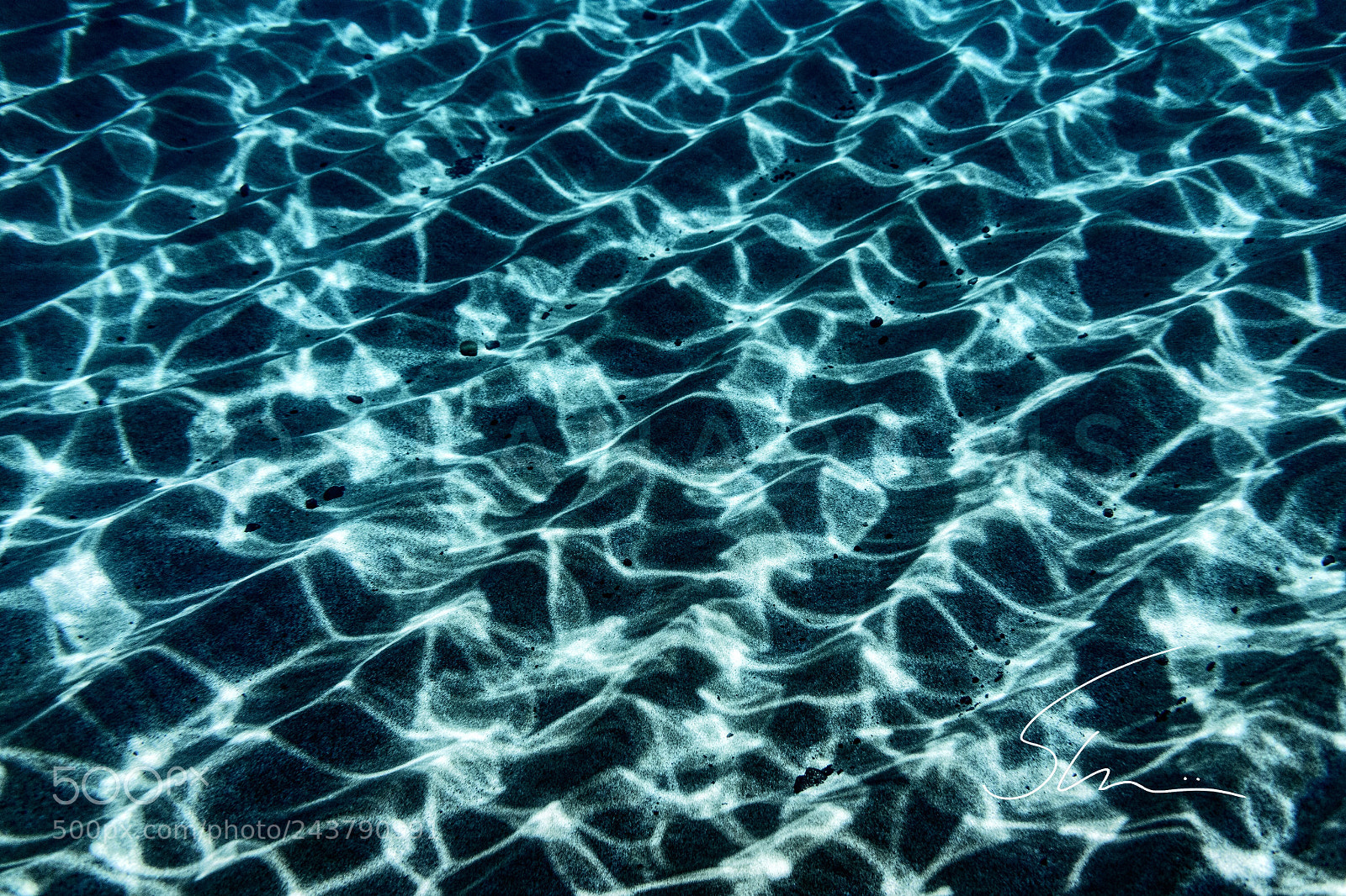 Sony a7 II sample photo. Untitled photography