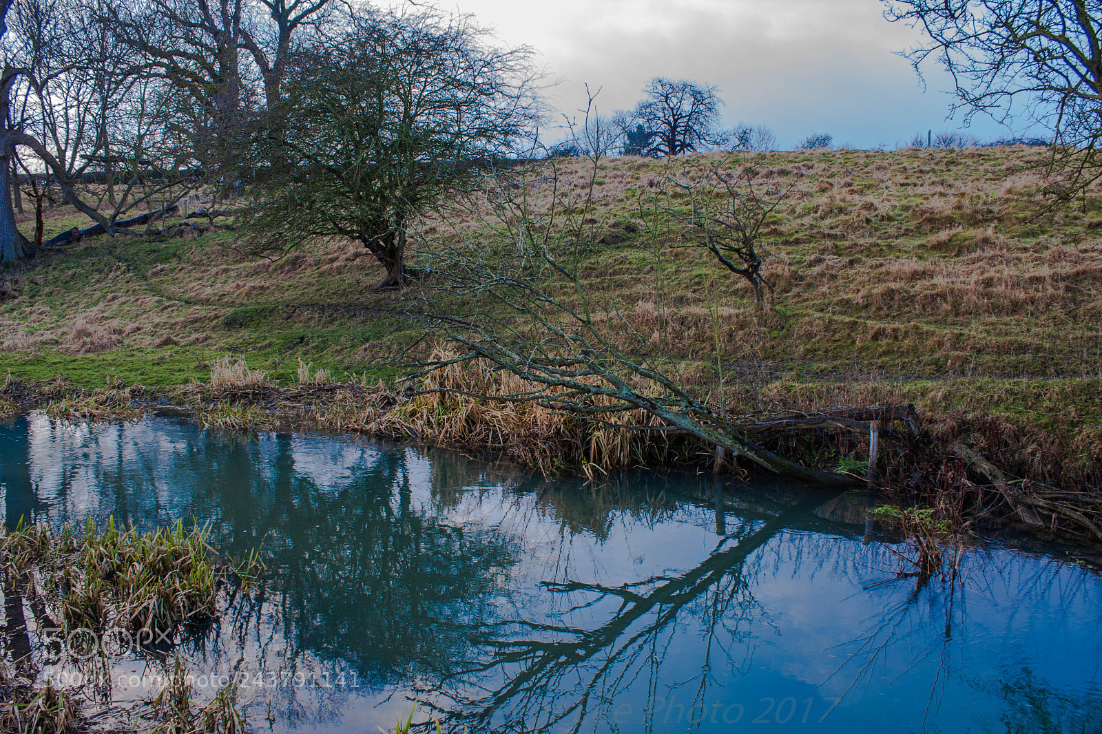 Canon EOS 40D sample photo. Winter river..... photography