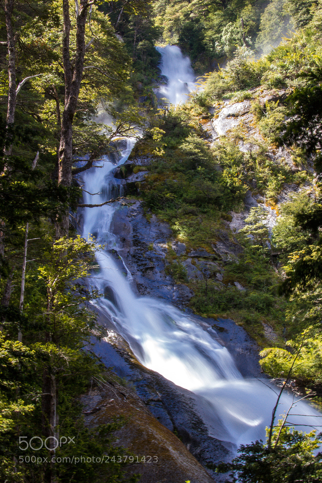 Canon EOS 60D sample photo. Parque nacional huerquehue photography
