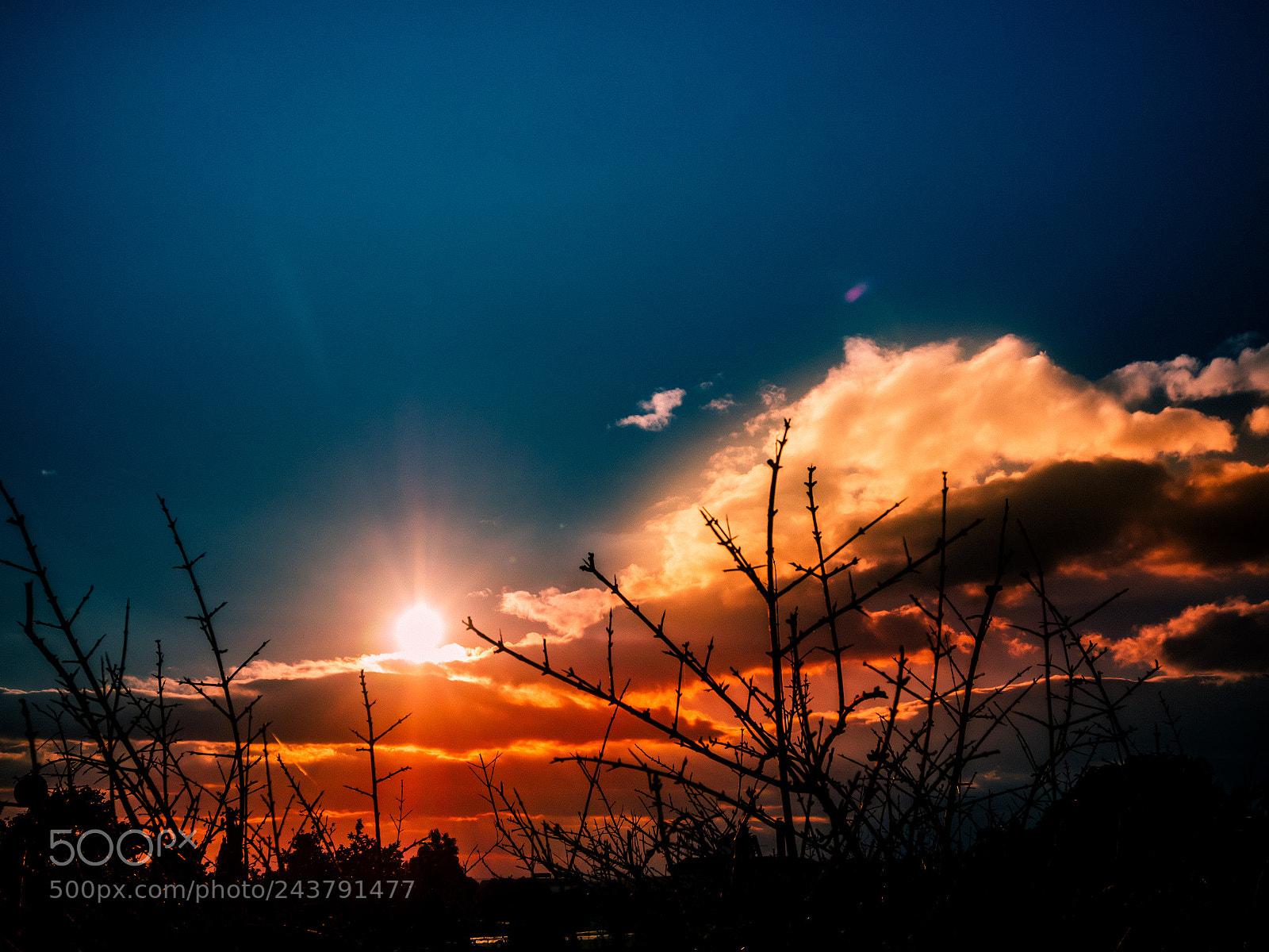 Olympus OM-D E-M5 II sample photo. Atardecer photography