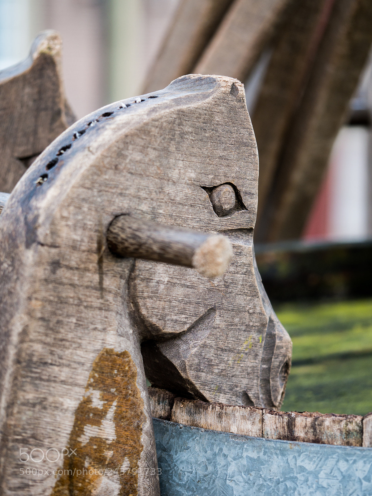 Panasonic Lumix DMC-G85 (Lumix DMC-G80) sample photo. Equine at cooperage photography