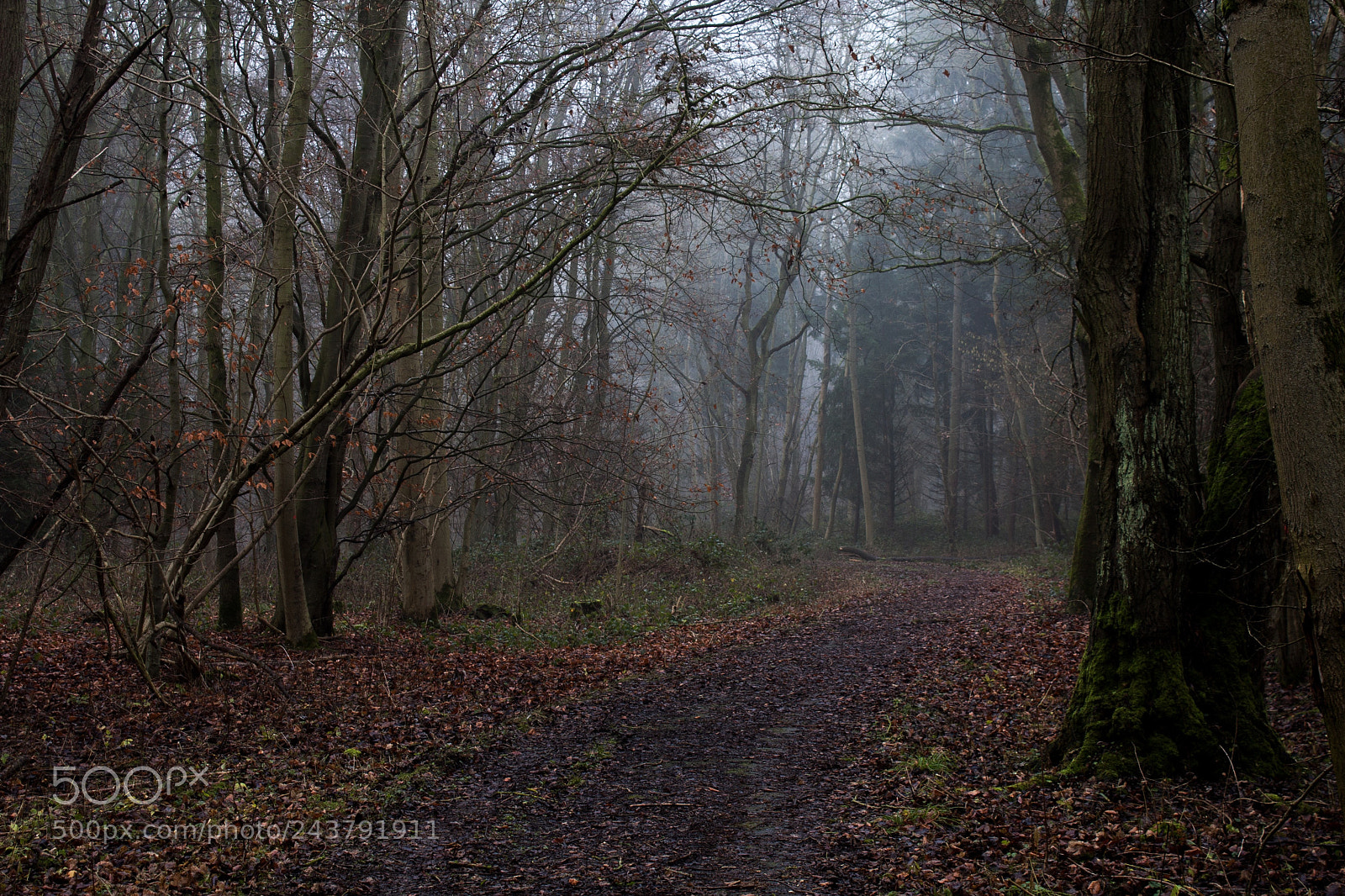 Canon EOS 40D sample photo. Sleepy hollow..... photography