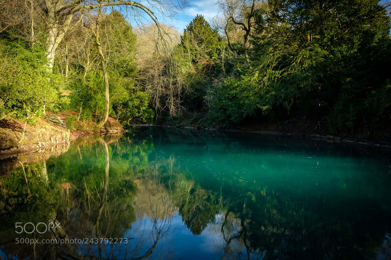 Fujifilm X-Pro2 sample photo. Silent pool photography
