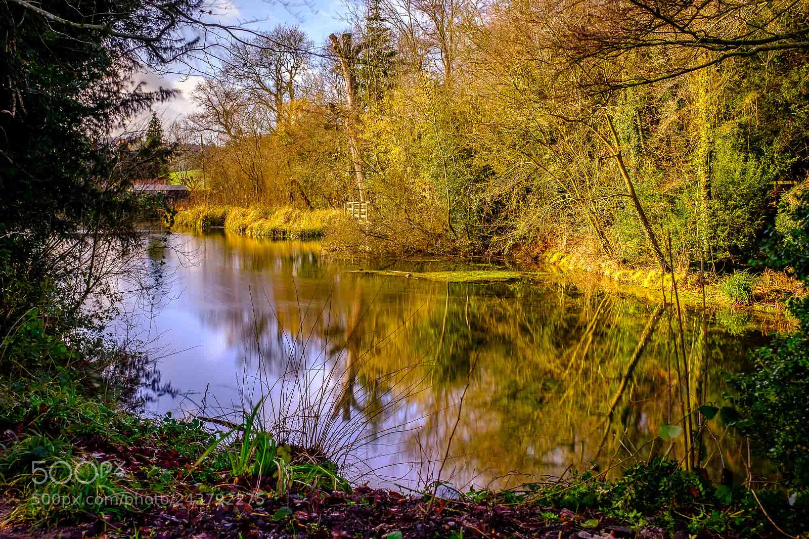 Fujifilm X-Pro2 sample photo. The pond photography