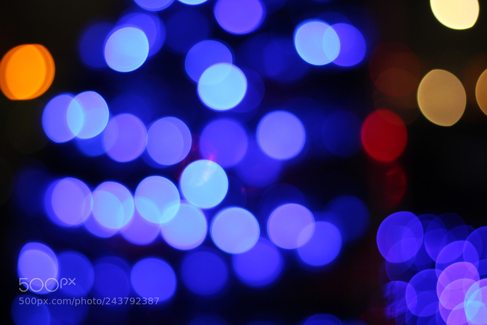 Canon EOS 700D (EOS Rebel T5i / EOS Kiss X7i) + Canon EF 50mm F1.8 STM sample photo. Bokeh photography