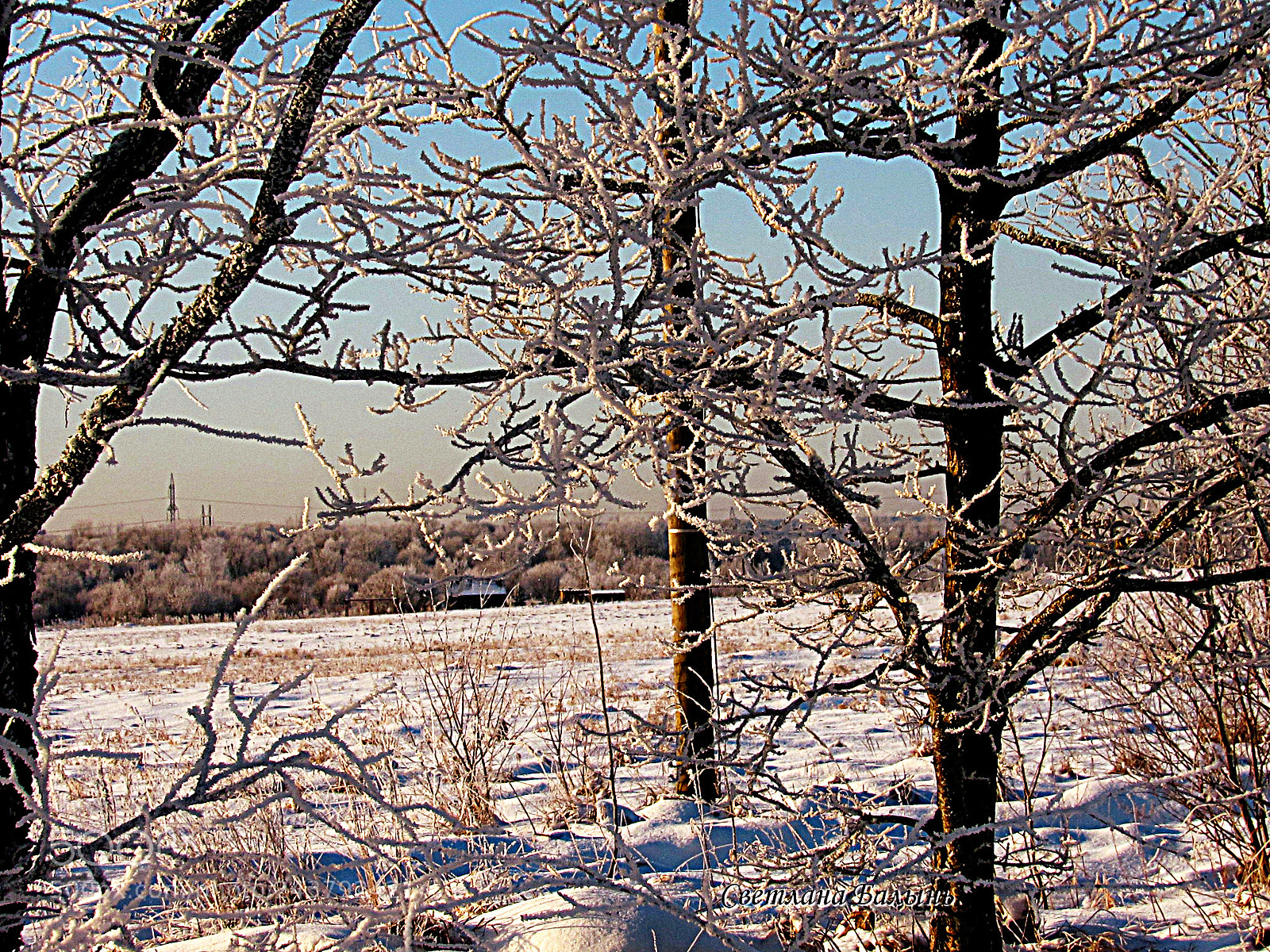 Canon PowerShot SX520 HS sample photo. зимний узор photography