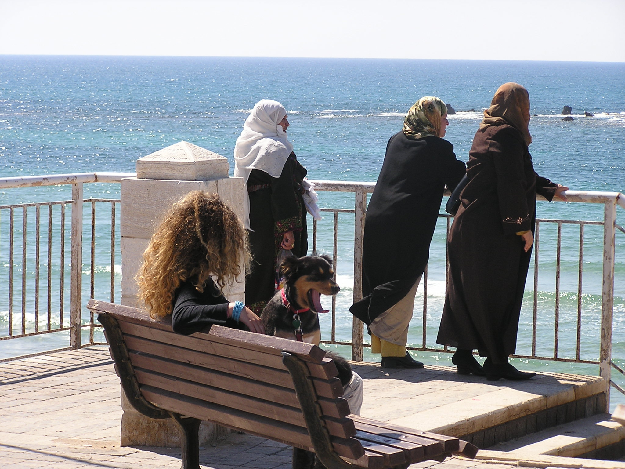Olympus C740UZ sample photo. Yafo photography