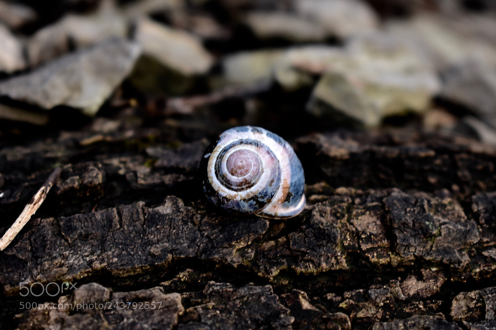 Nikon D3400 sample photo. Untitled photography