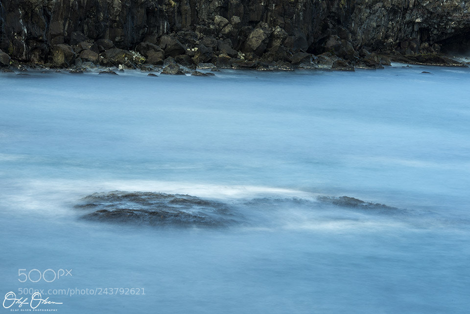 Nikon D600 sample photo. Just a rock photography