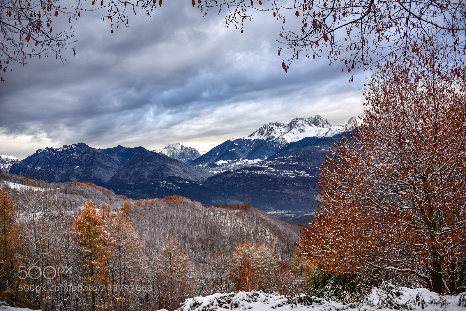 Nikon D810 sample photo. Winter photography