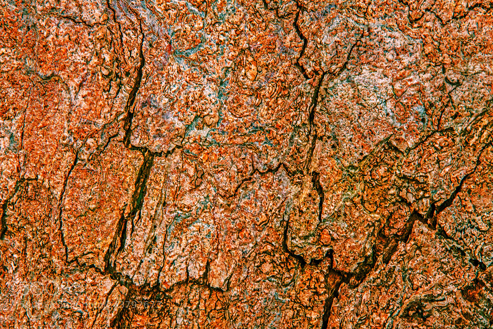 Canon EOS 50D sample photo. Bark abstract photography