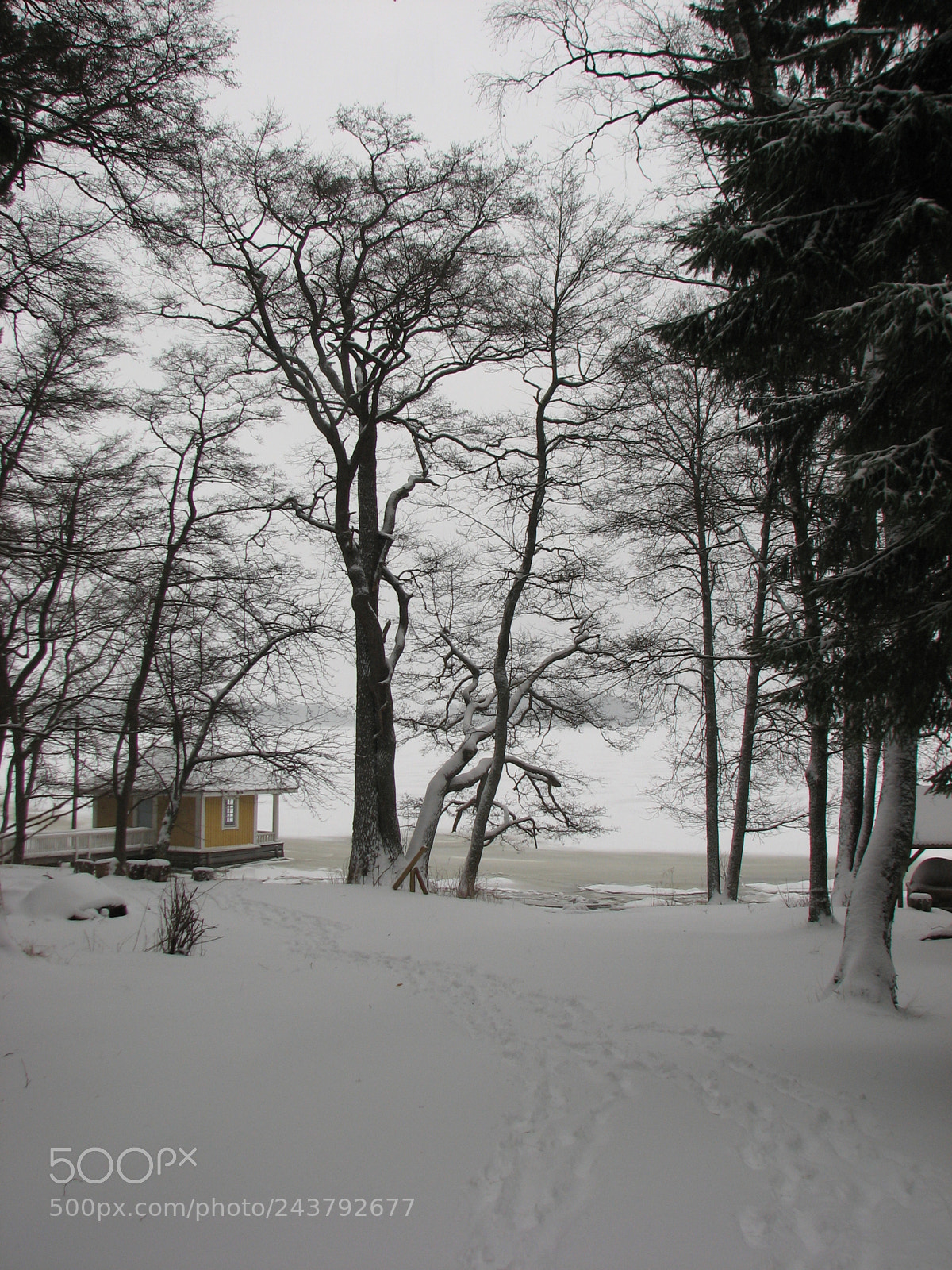 Canon POWERSHOT S3 IS sample photo. View photography