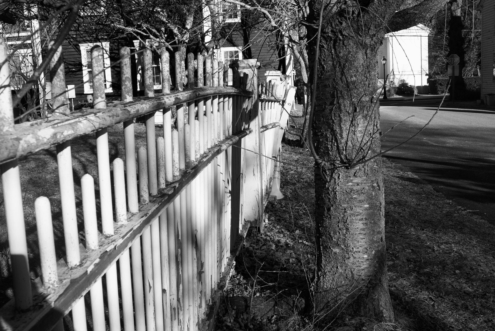Leica X1 sample photo. Lamp post photography