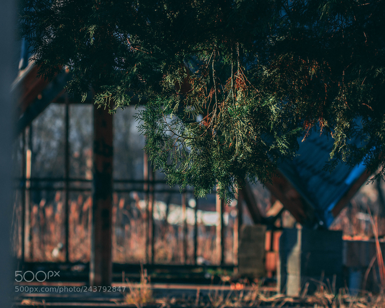 Canon EOS 60D sample photo. Ruins of nature photography