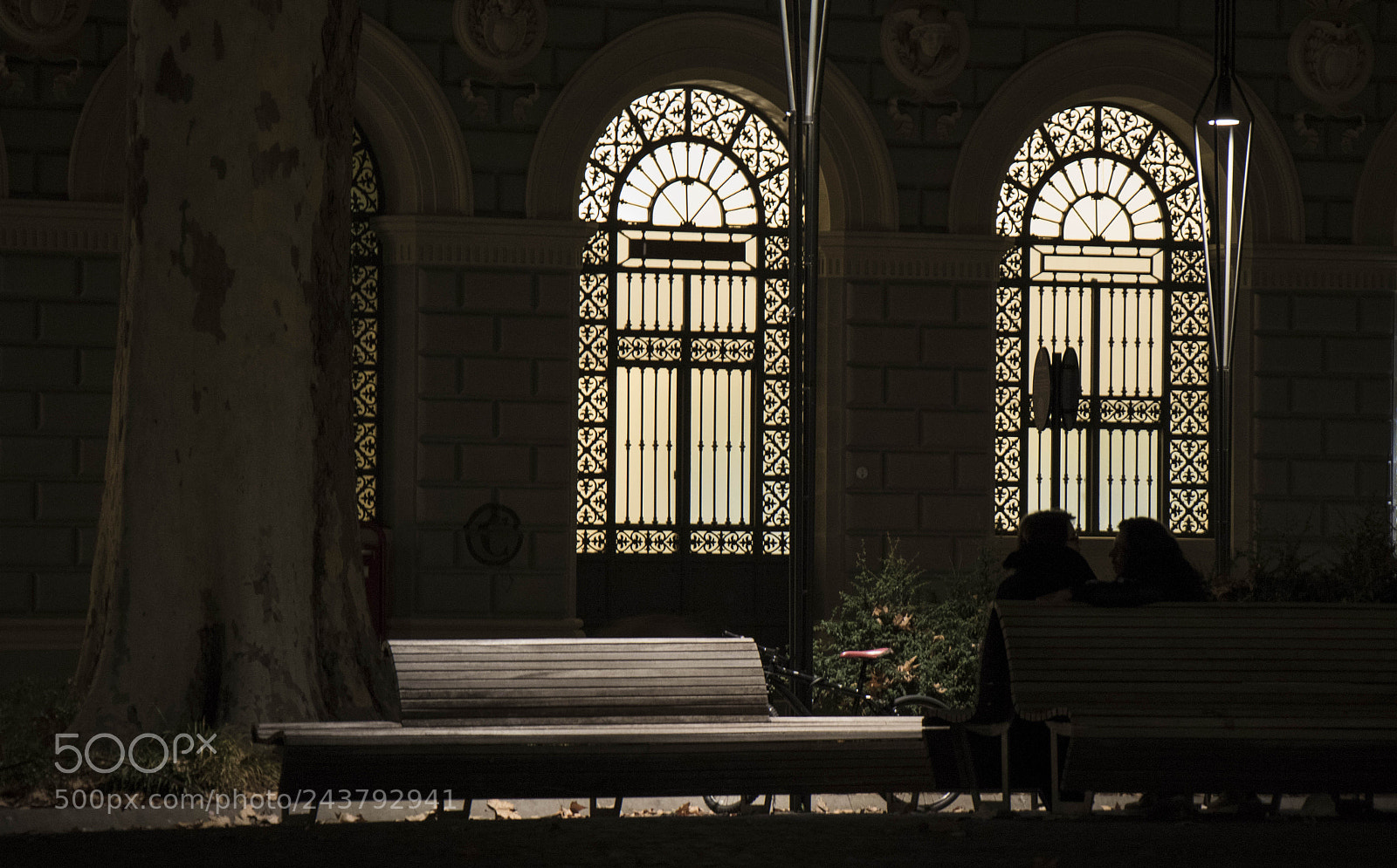 Canon EOS 7D Mark II sample photo. Untitled photography