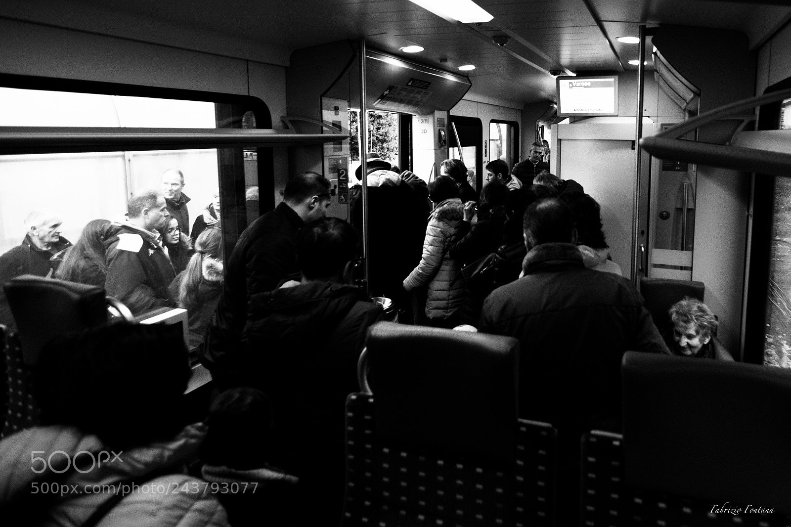 Nikon D500 sample photo. Untitled photography