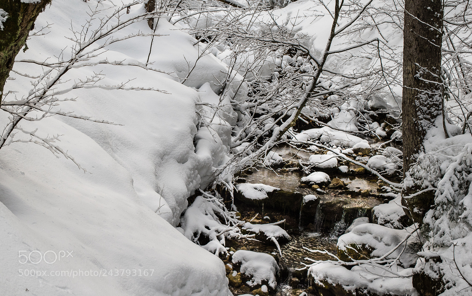 Nikon D5500 sample photo. Snowy river photography