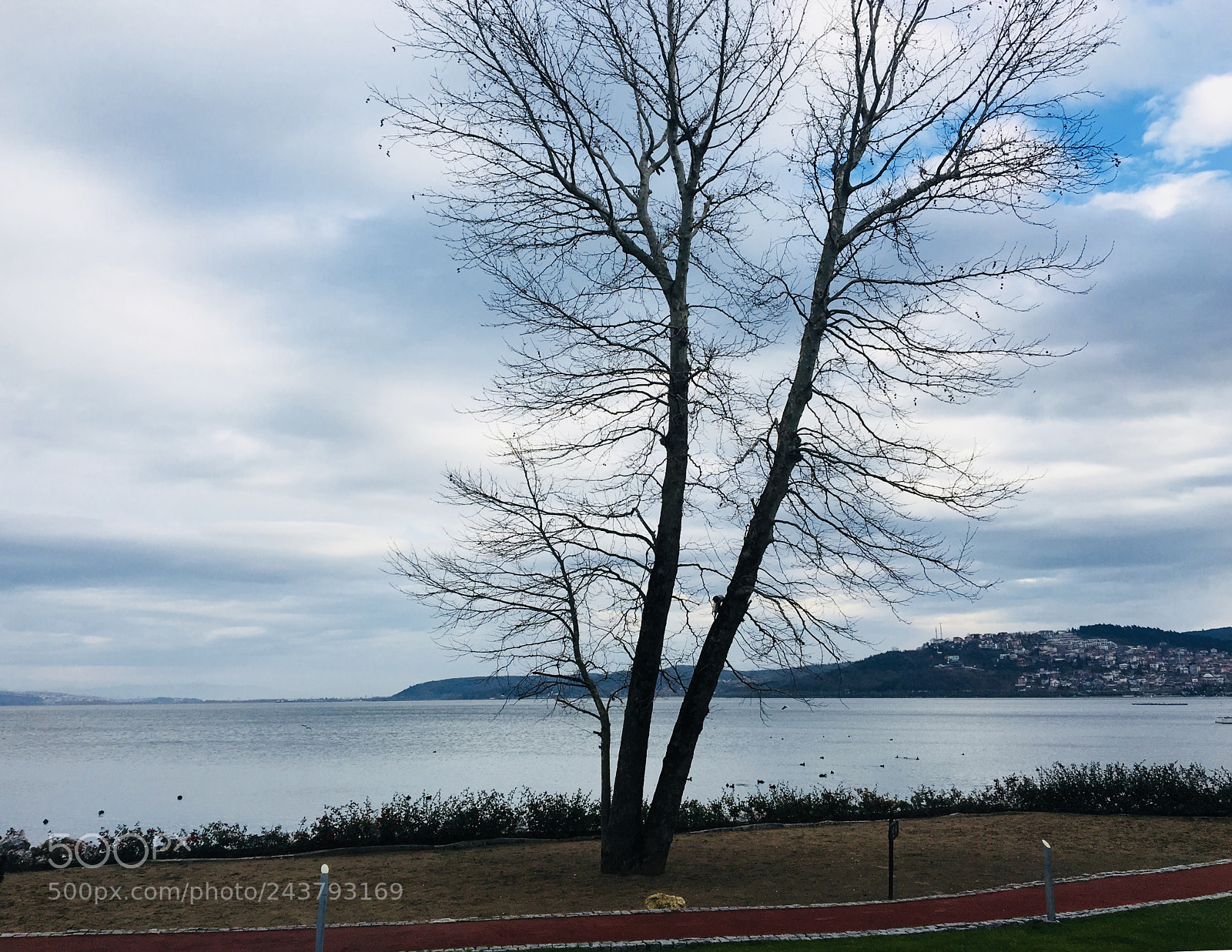 Apple iPhone 6s sample photo. Sapanca gölü photography