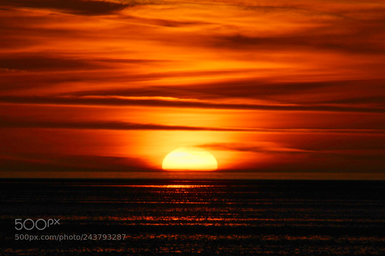 Canon EF-S 55-250mm F4-5.6 IS II sample photo. ... photography