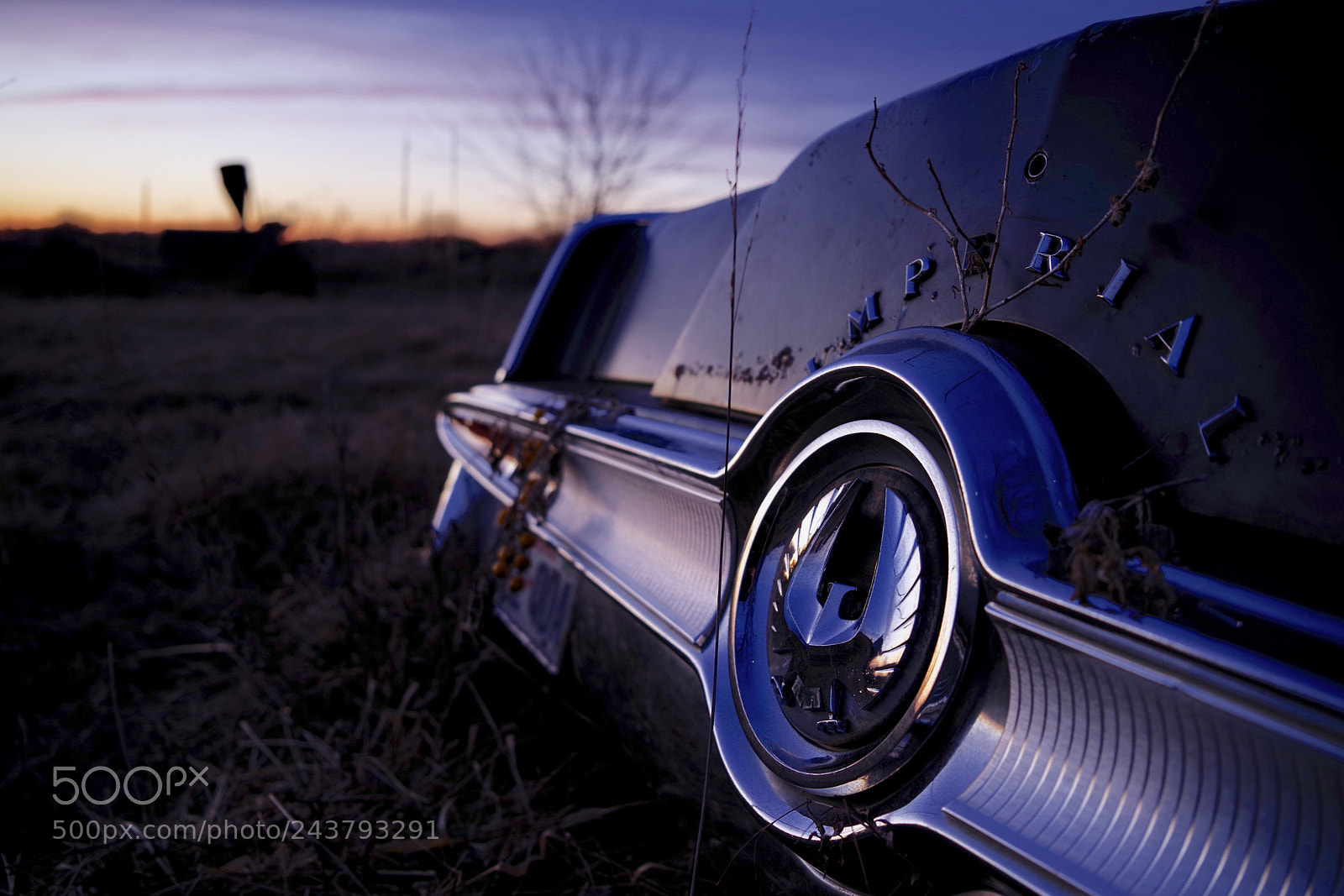 Pentax K-1 sample photo. Untitled photography