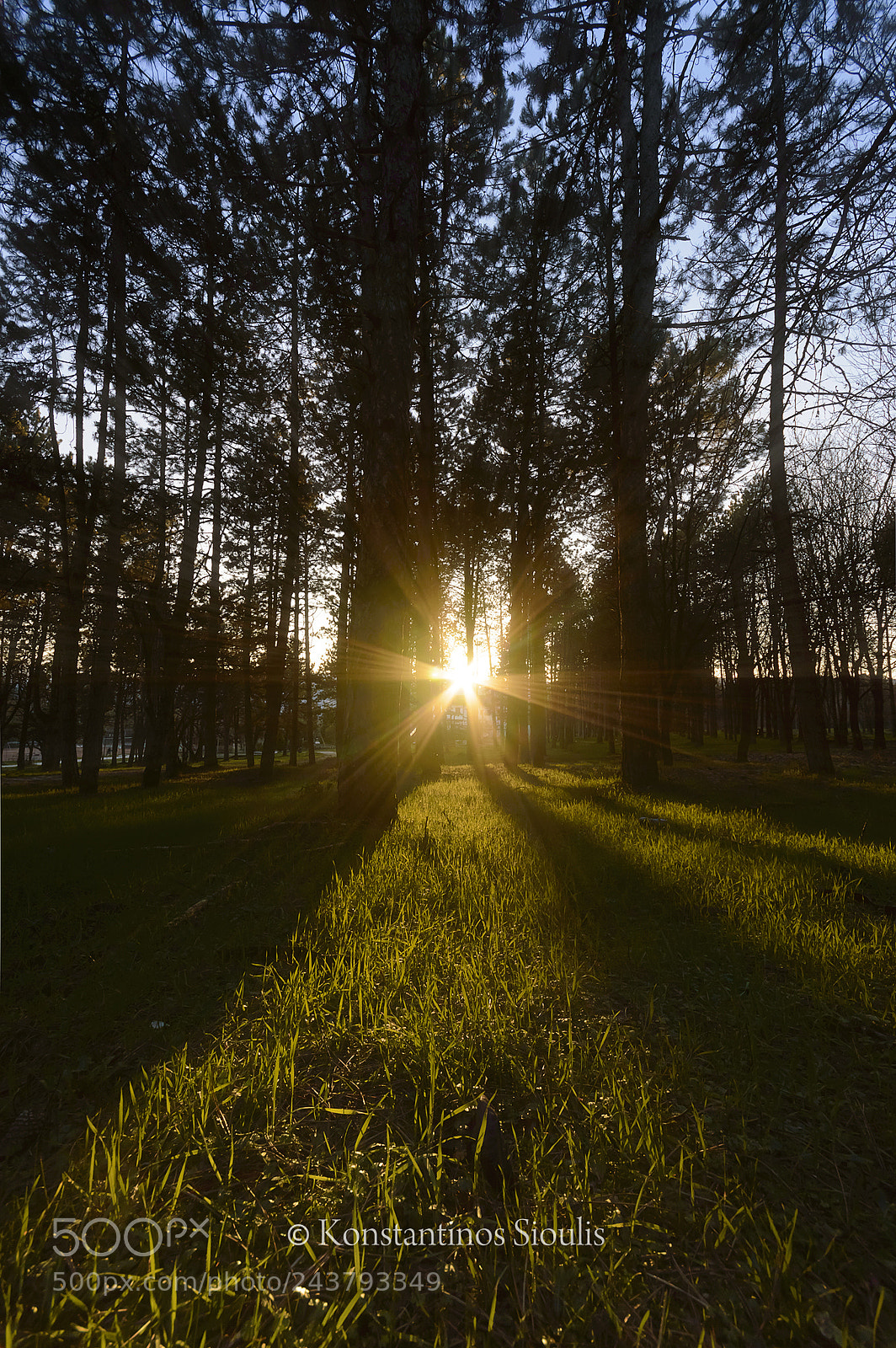 Nikon D3200 sample photo. Untitled photography