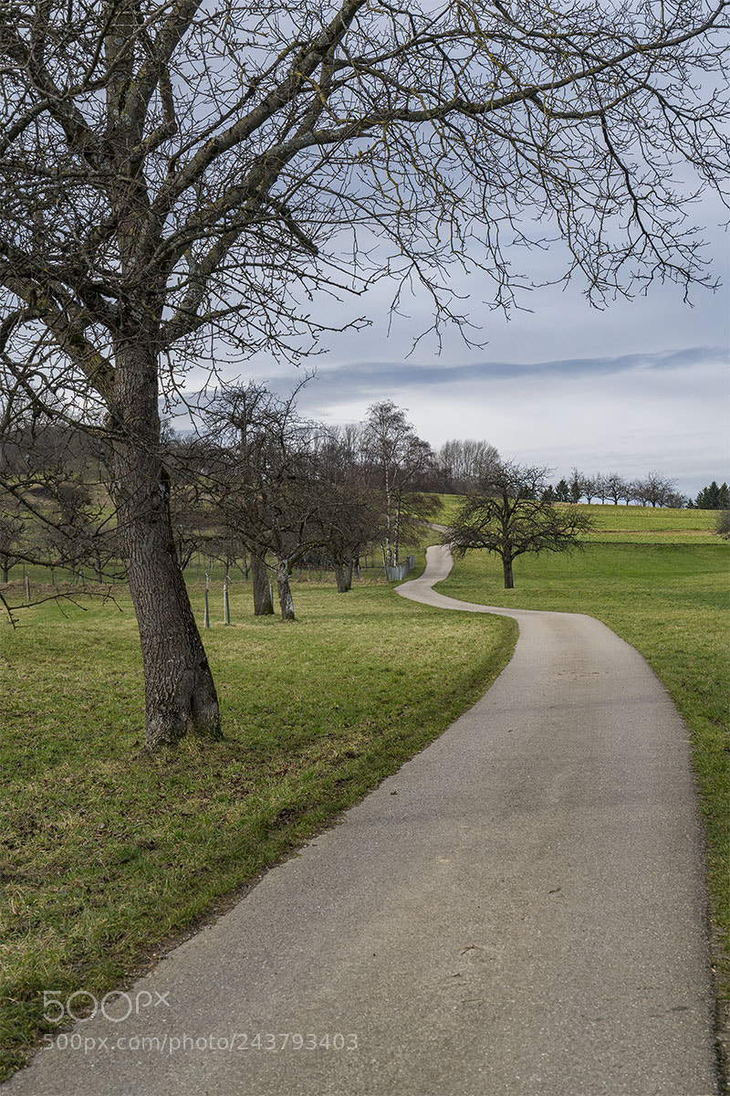 Sony a7R II sample photo. Wege photography
