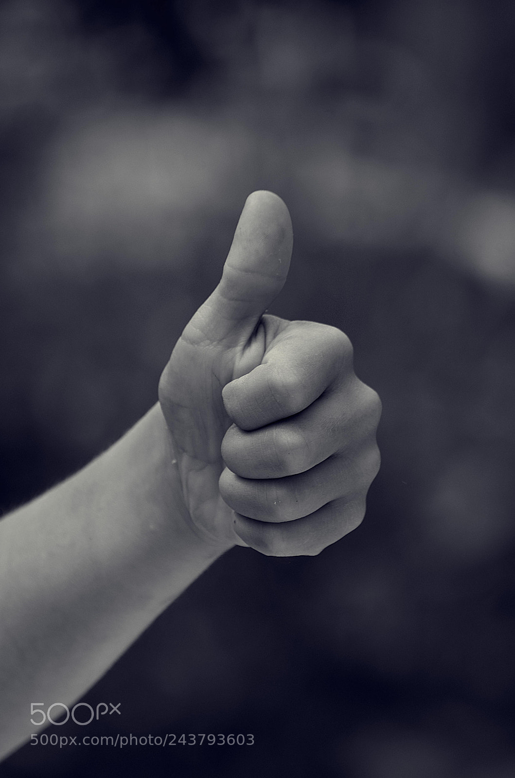 Nikon D5100 sample photo. Fist photography