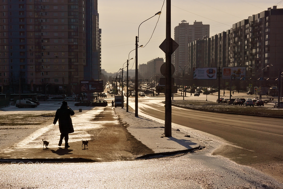 Sony SLT-A65 (SLT-A65V) sample photo. На прогулке photography
