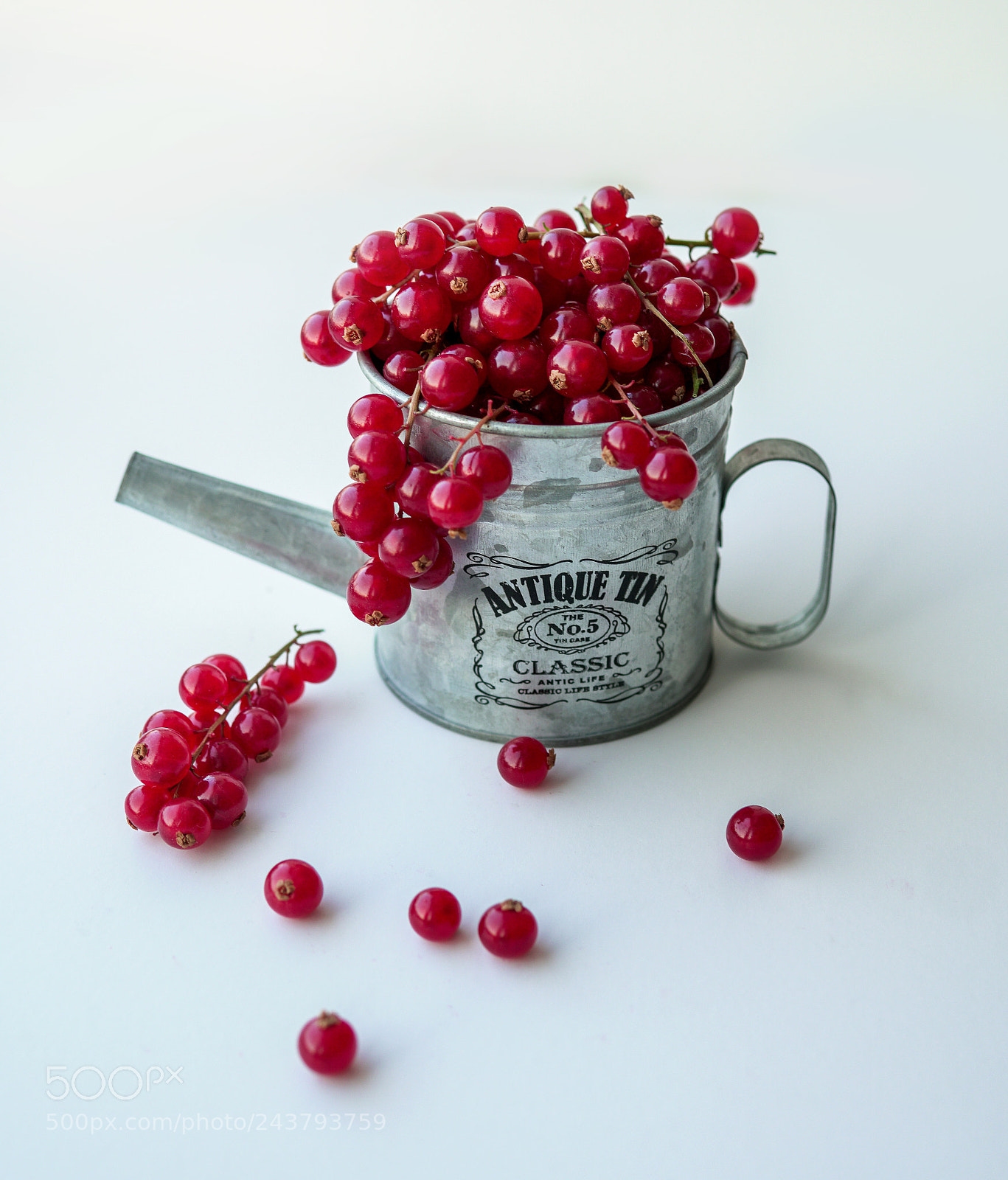 Sony a6300 sample photo. Red currant photography