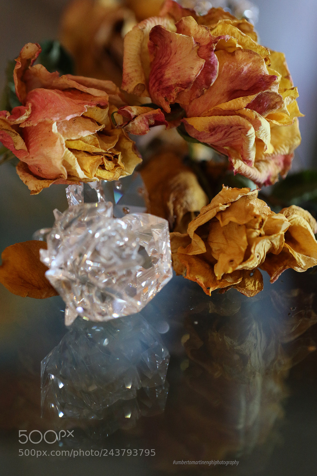 Canon EOS 7D Mark II sample photo. Flowers photography