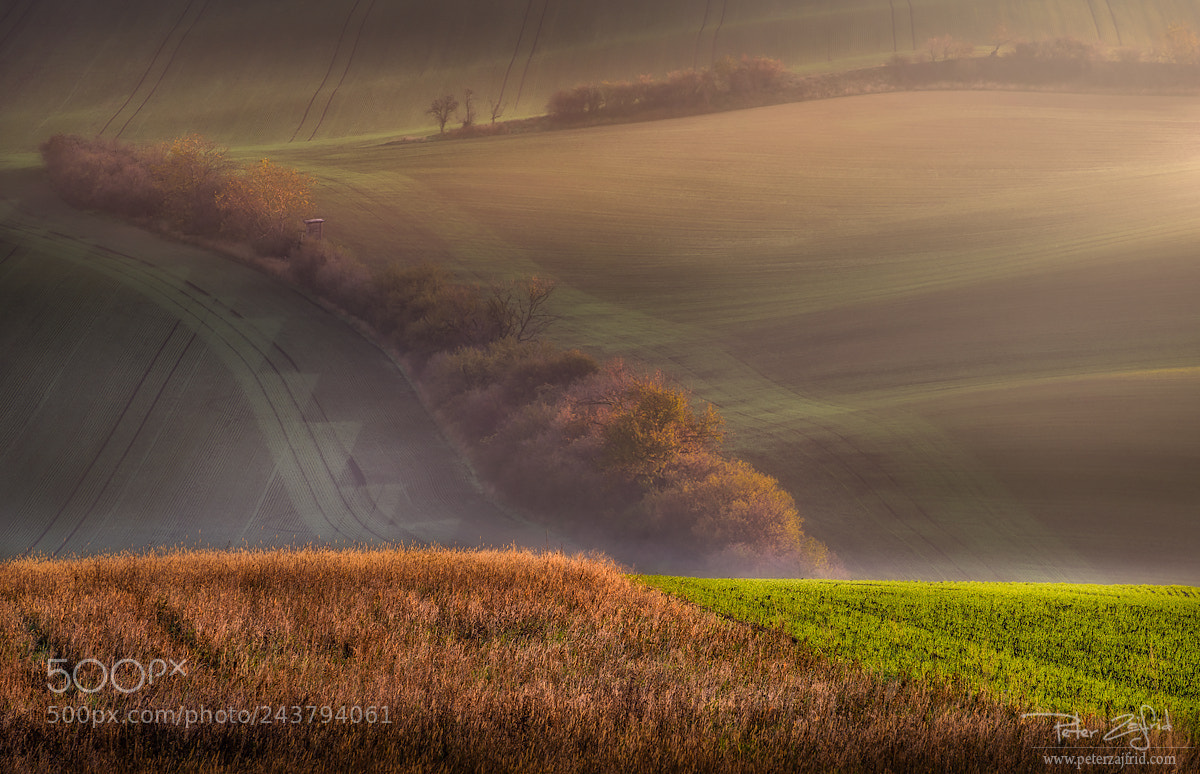 Nikon D810 sample photo. Morning light photography