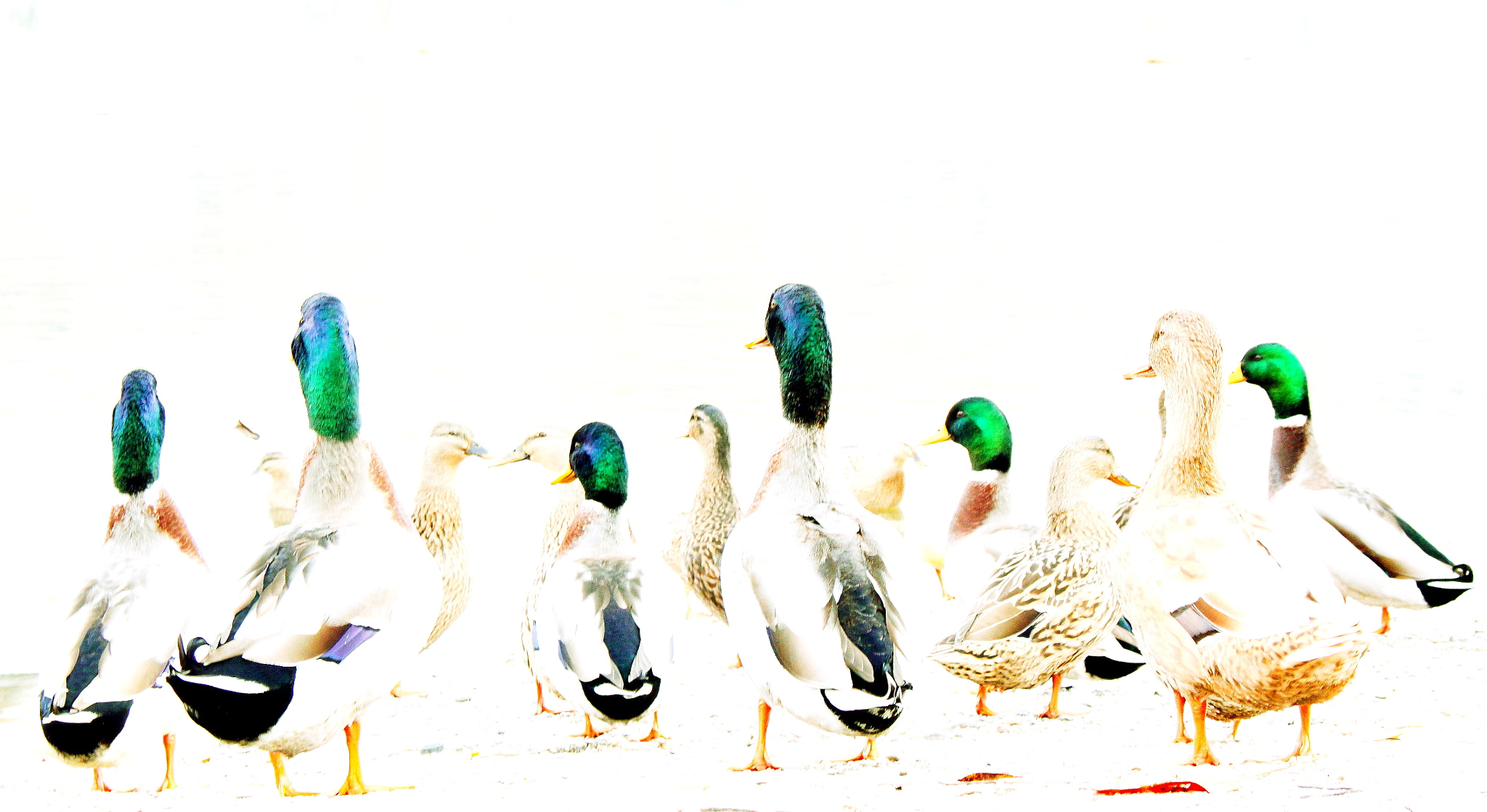 Canon EOS 50D sample photo. Ritaglio di lago photography