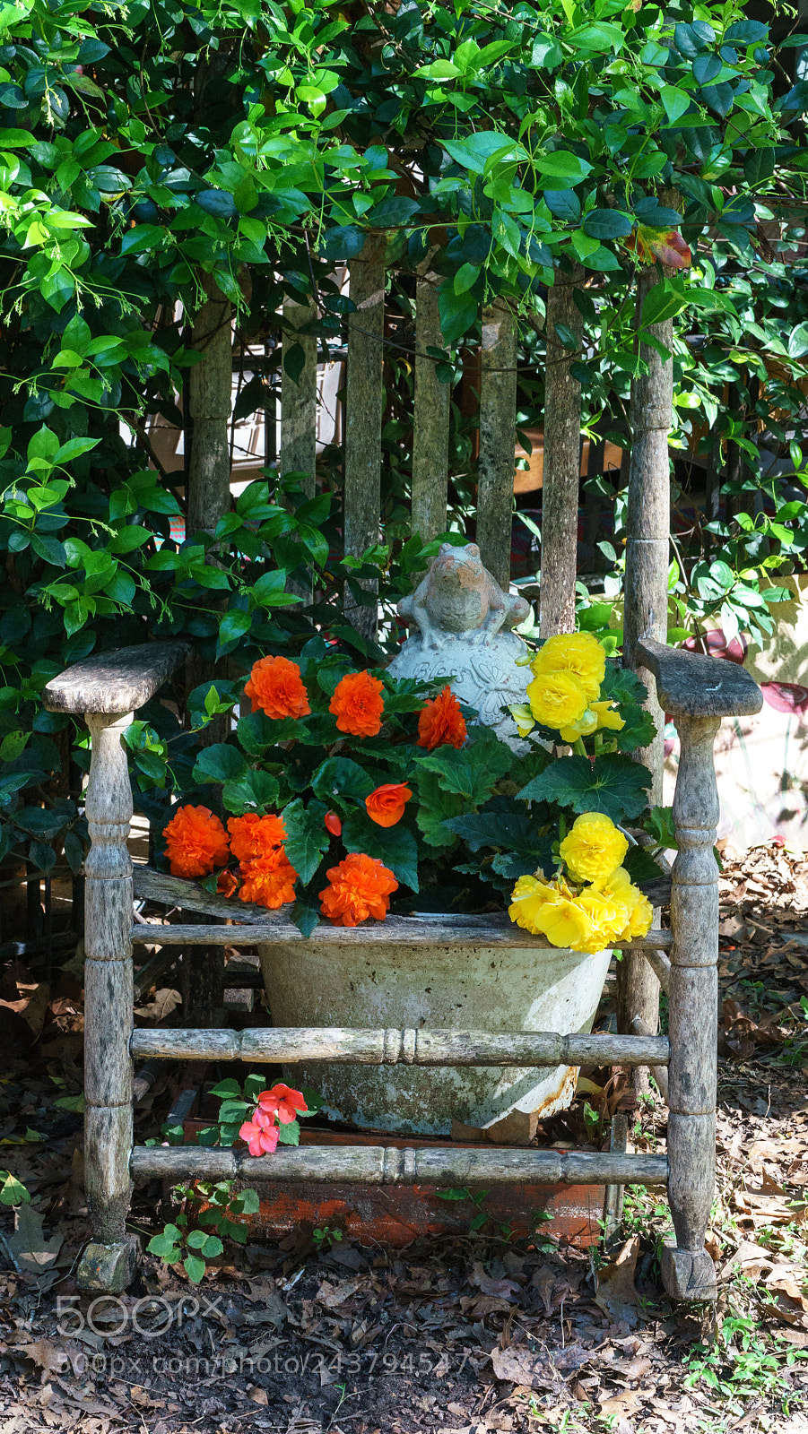 Sony a7 II sample photo. Country garden photography