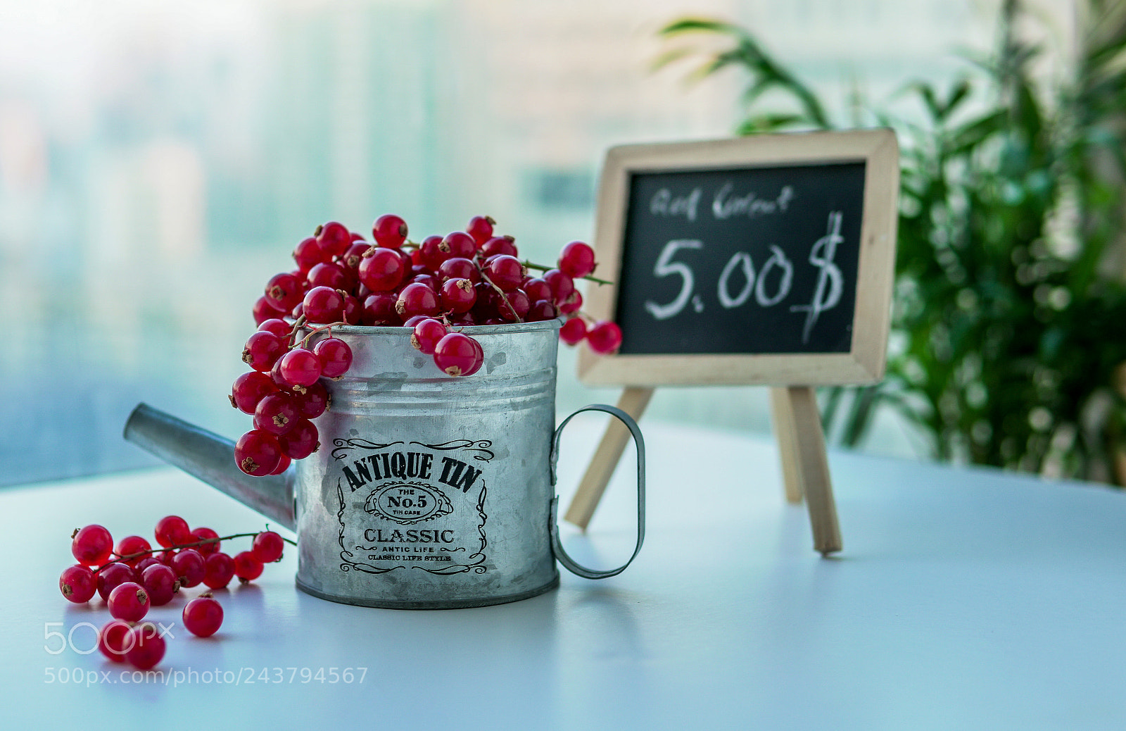 Sony a6300 sample photo. Red currant for sale photography