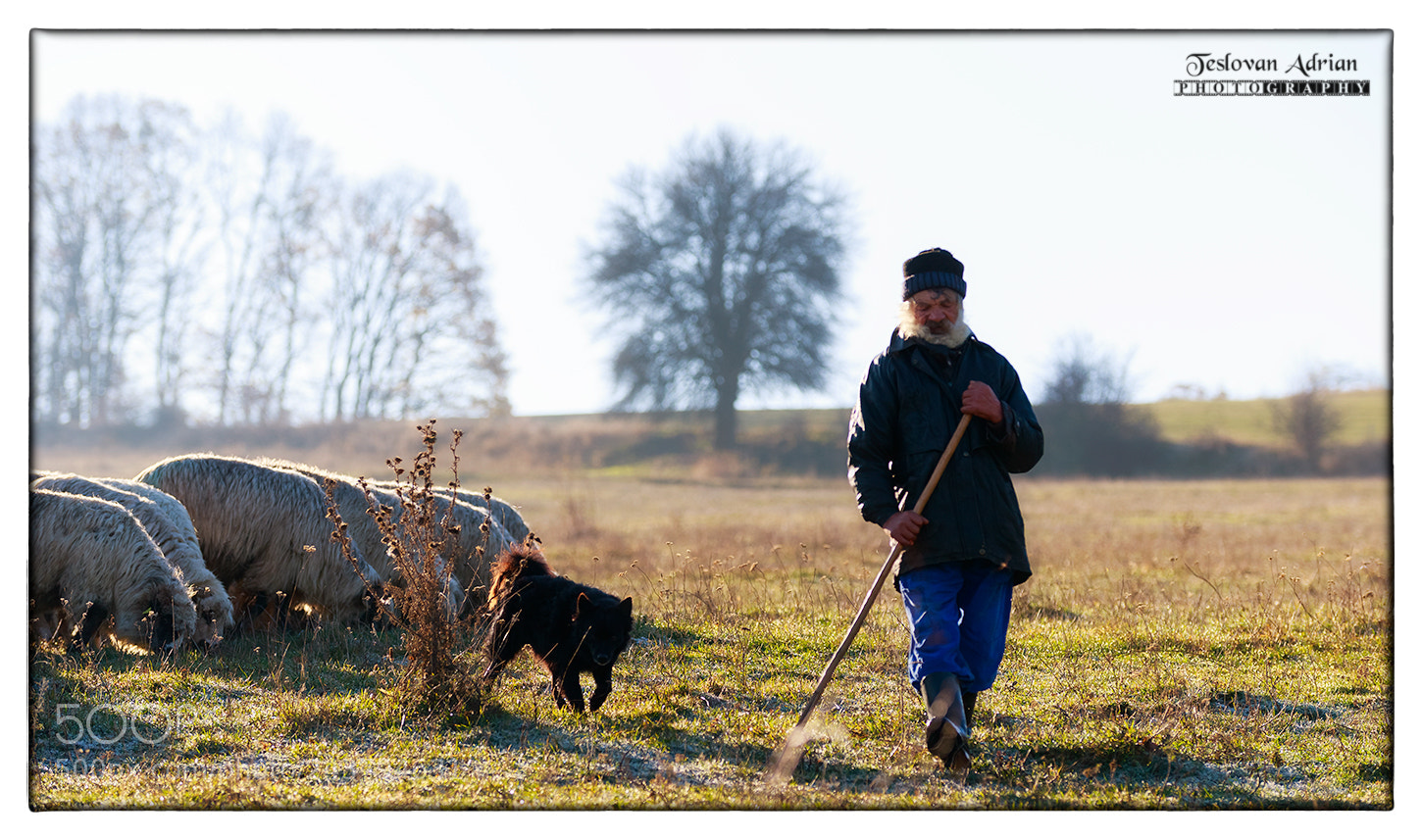 Canon EOS 7D Mark II sample photo. Driven photography